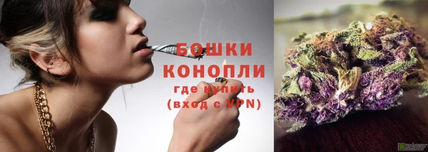 дживик Новозыбков