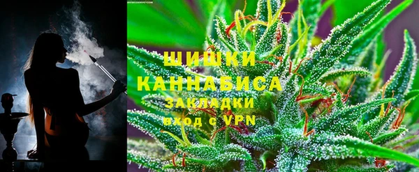 индика Белоозёрский