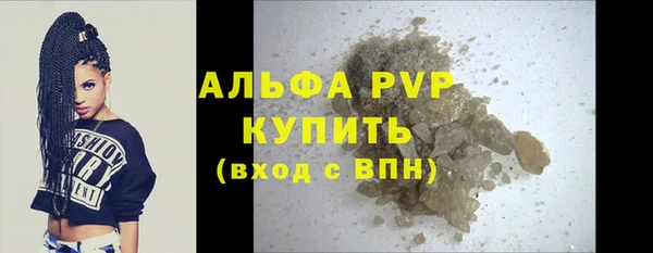 индика Белоозёрский