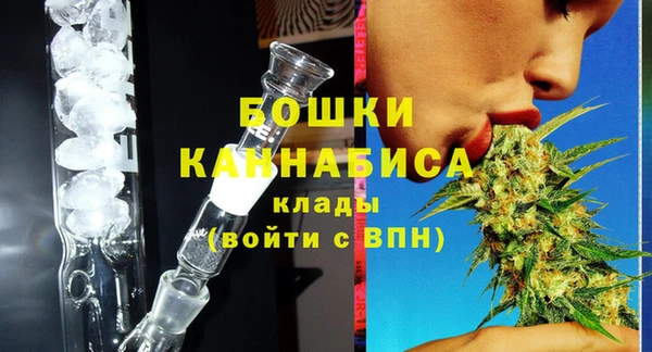 индика Белоозёрский